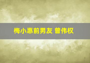 梅小惠前男友 曾伟权